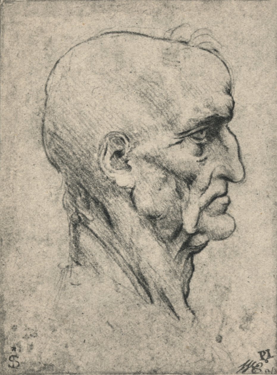 Yaşlı Bir Kel Adamın Sağındaki Profil, c1480 1945 by Leonardo da Vinci