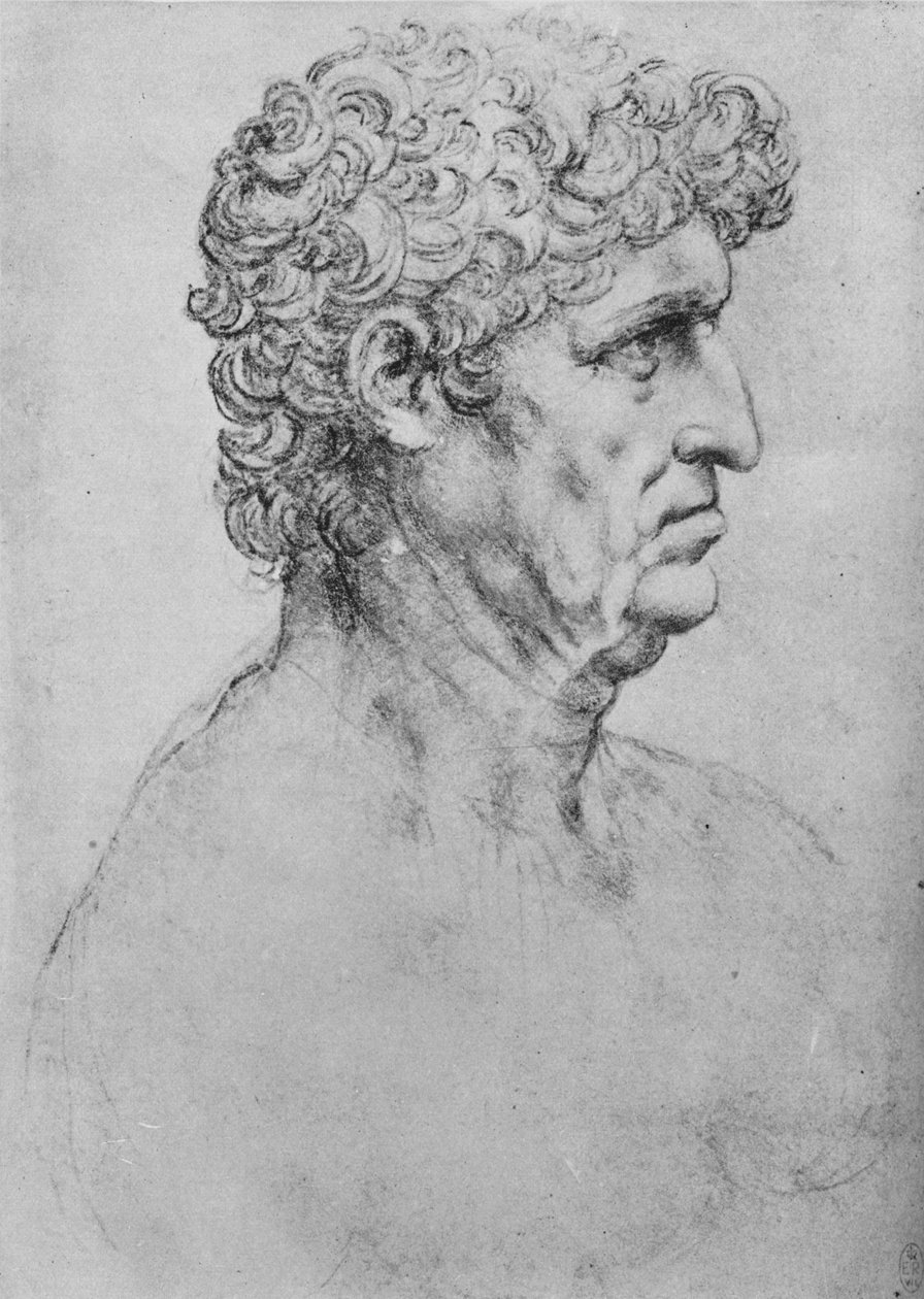 Yaşlı Bir Adamın Sağındaki Profil, c1480 1945 by Leonardo da Vinci
