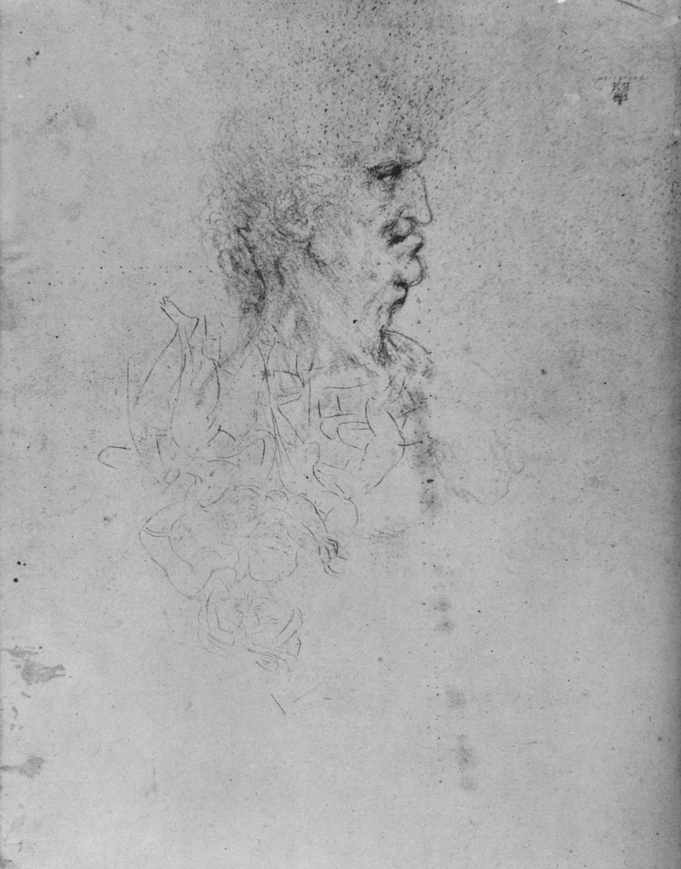 Yaşlı Bir Adamın Sağındaki Profil, c1480 1945 by Leonardo da Vinci