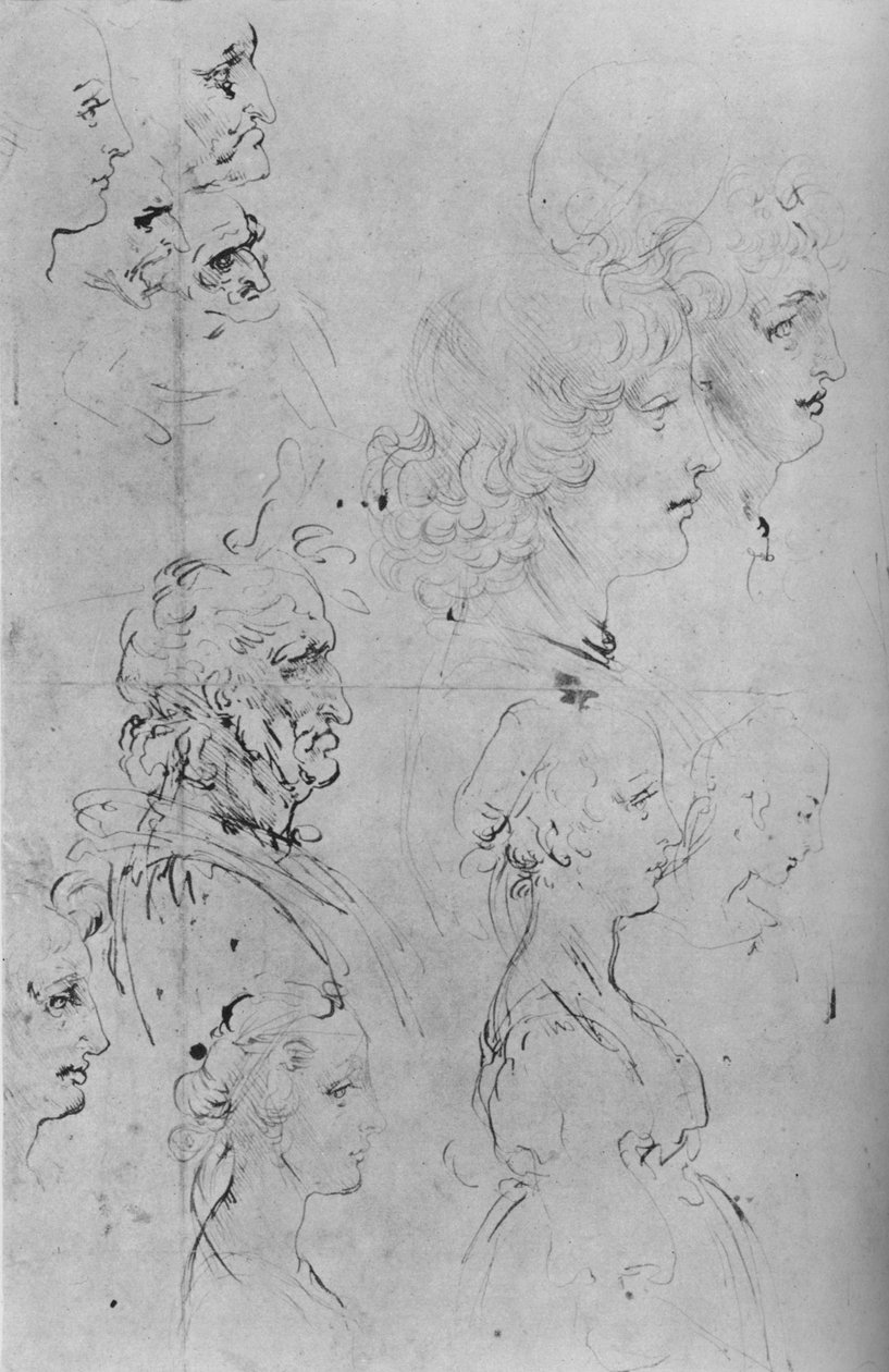 Erkeklerin Profilleri ve Bir Kızın Yarım Boyu, c1490 1945 by Leonardo da Vinci