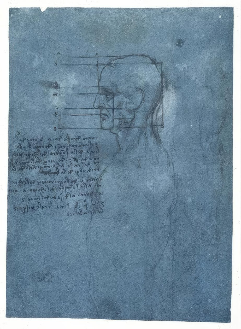 Profildeki bir erkek kafasının orantı çalışması by Leonardo da Vinci