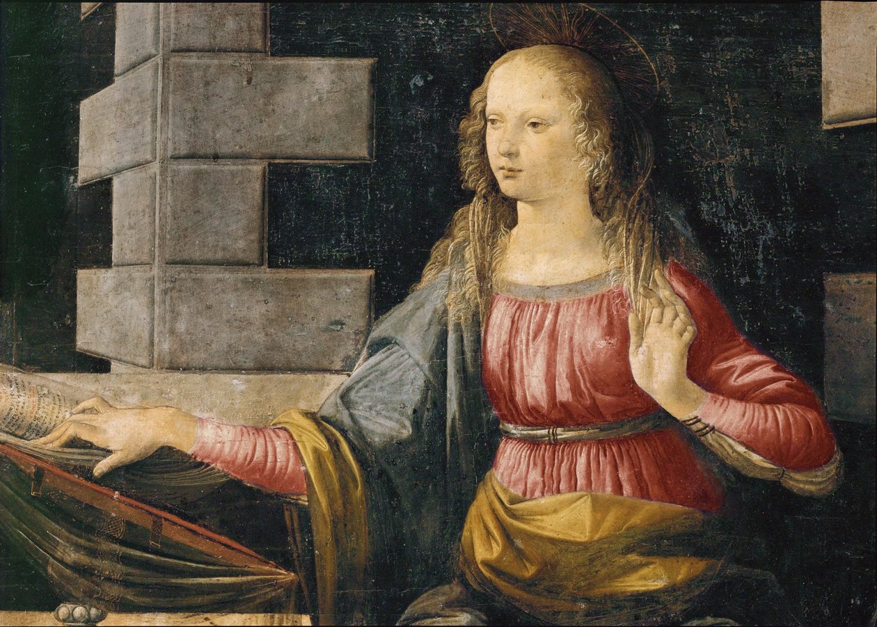 Azize Meryem (ahşap üzerine yağlıboya) by Leonardo da Vinci