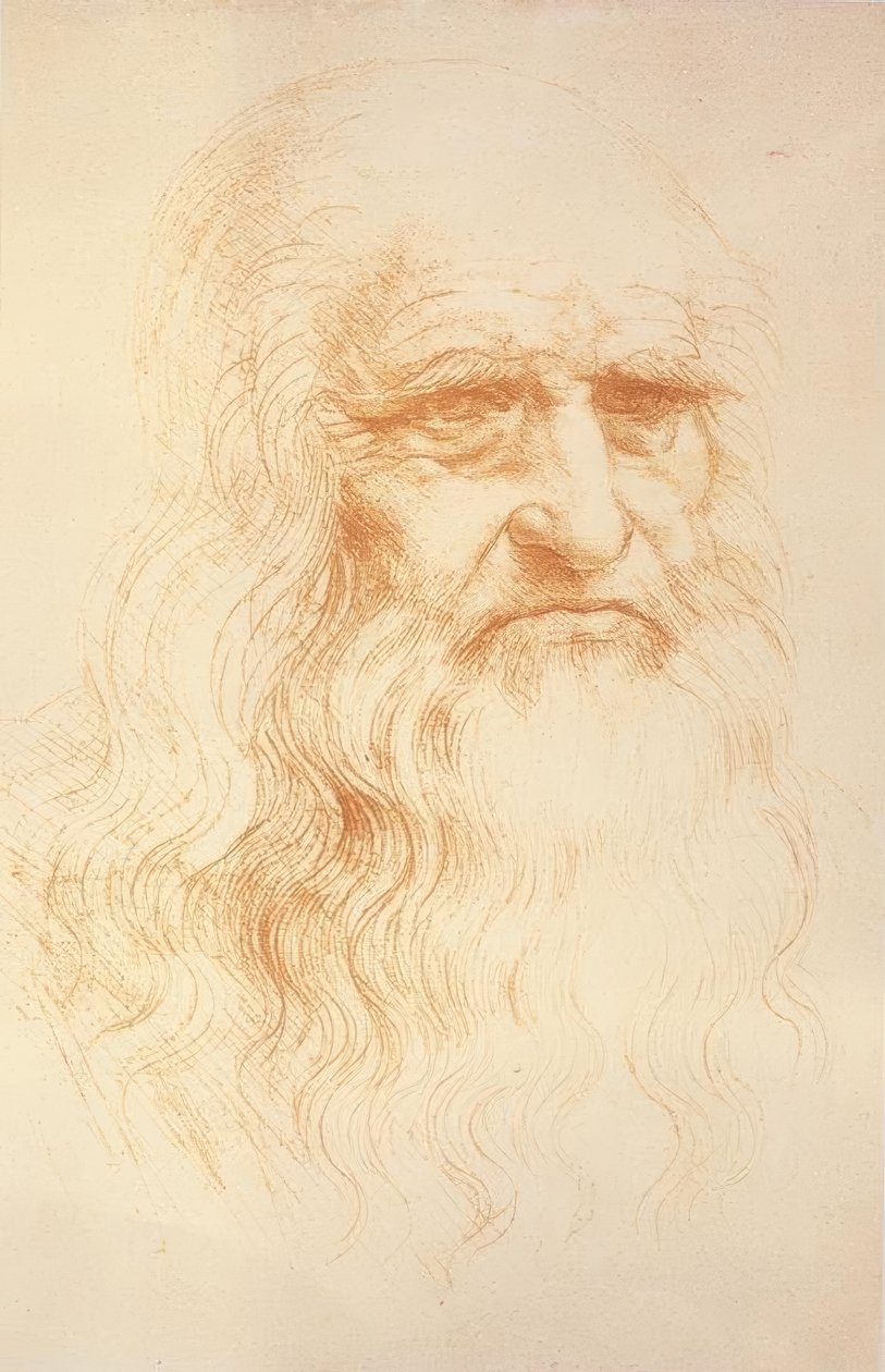 otoportre by Leonardo da Vinci