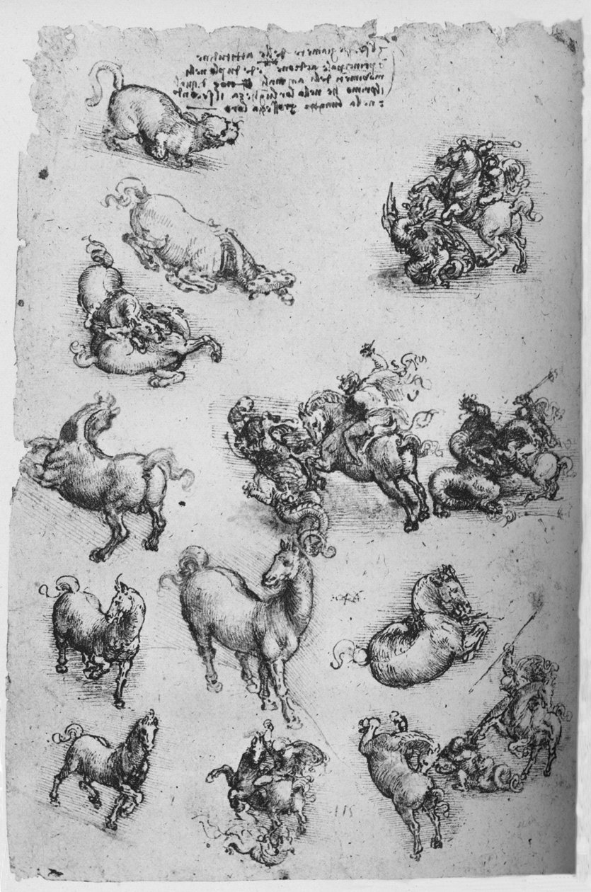 Atlar, Bir Kedi ve Aziz George ve Ejderha Çalışmaları Sayfası, c1480 1945 by Leonardo da Vinci