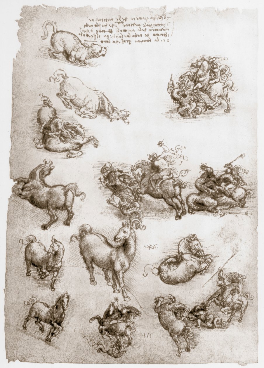Aziz George ve Ejderha, c1506 by Leonardo da Vinci