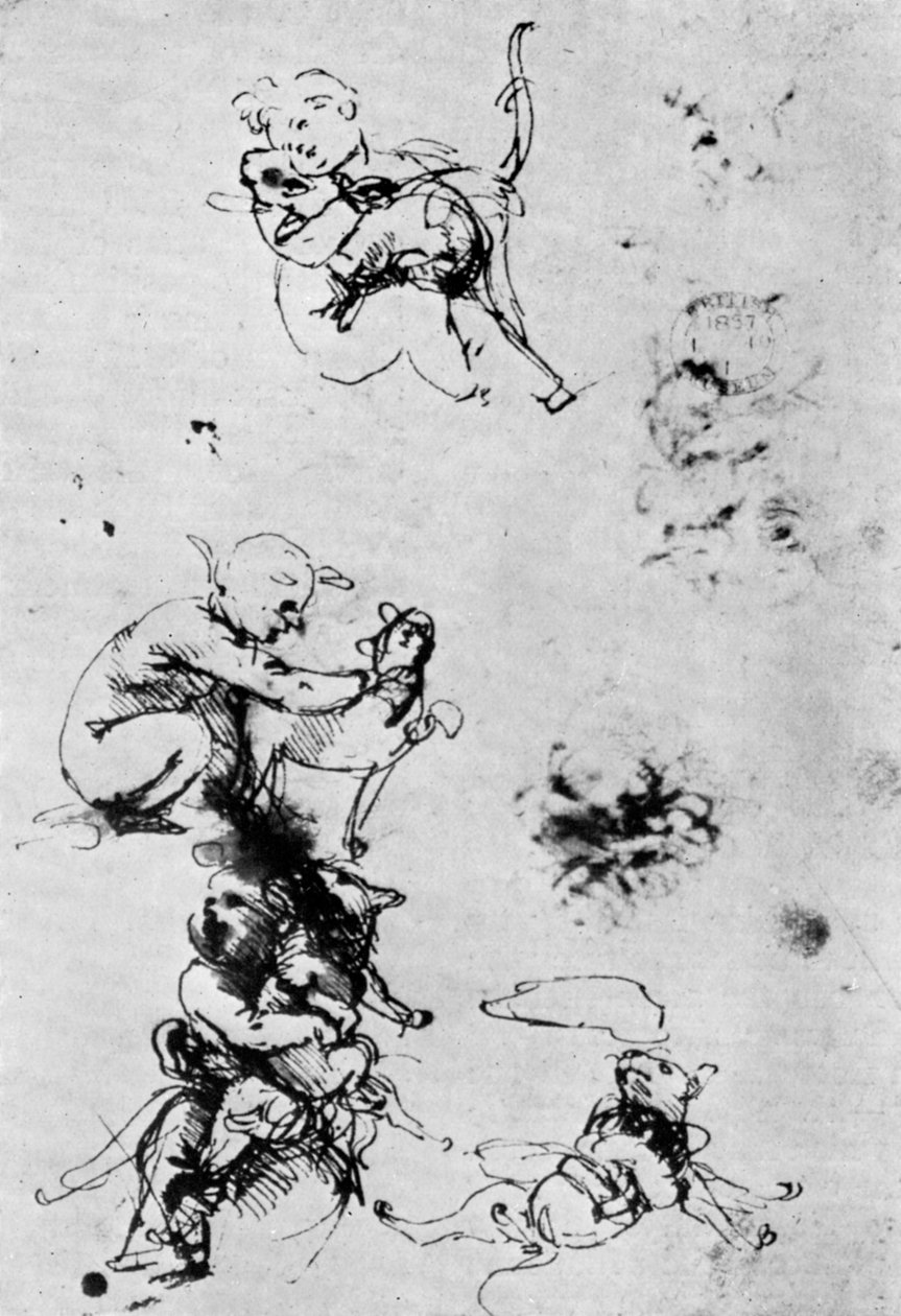 Madonna Del Gatto için çalışmalar, 15. yüzyıl 1930. by Leonardo da Vinci