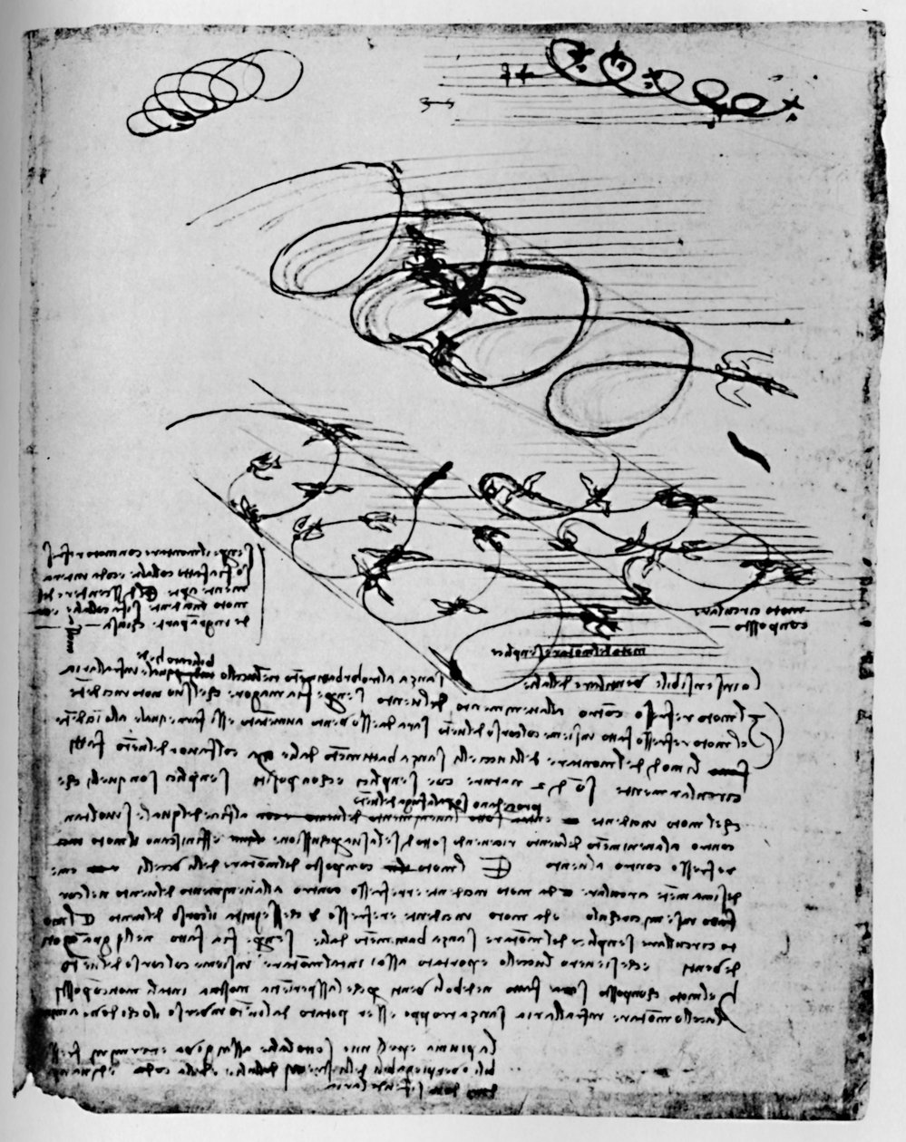 Yükselirken ve Dönerken Uçan Kuşların Çalışmaları, 1928 by Leonardo da Vinci