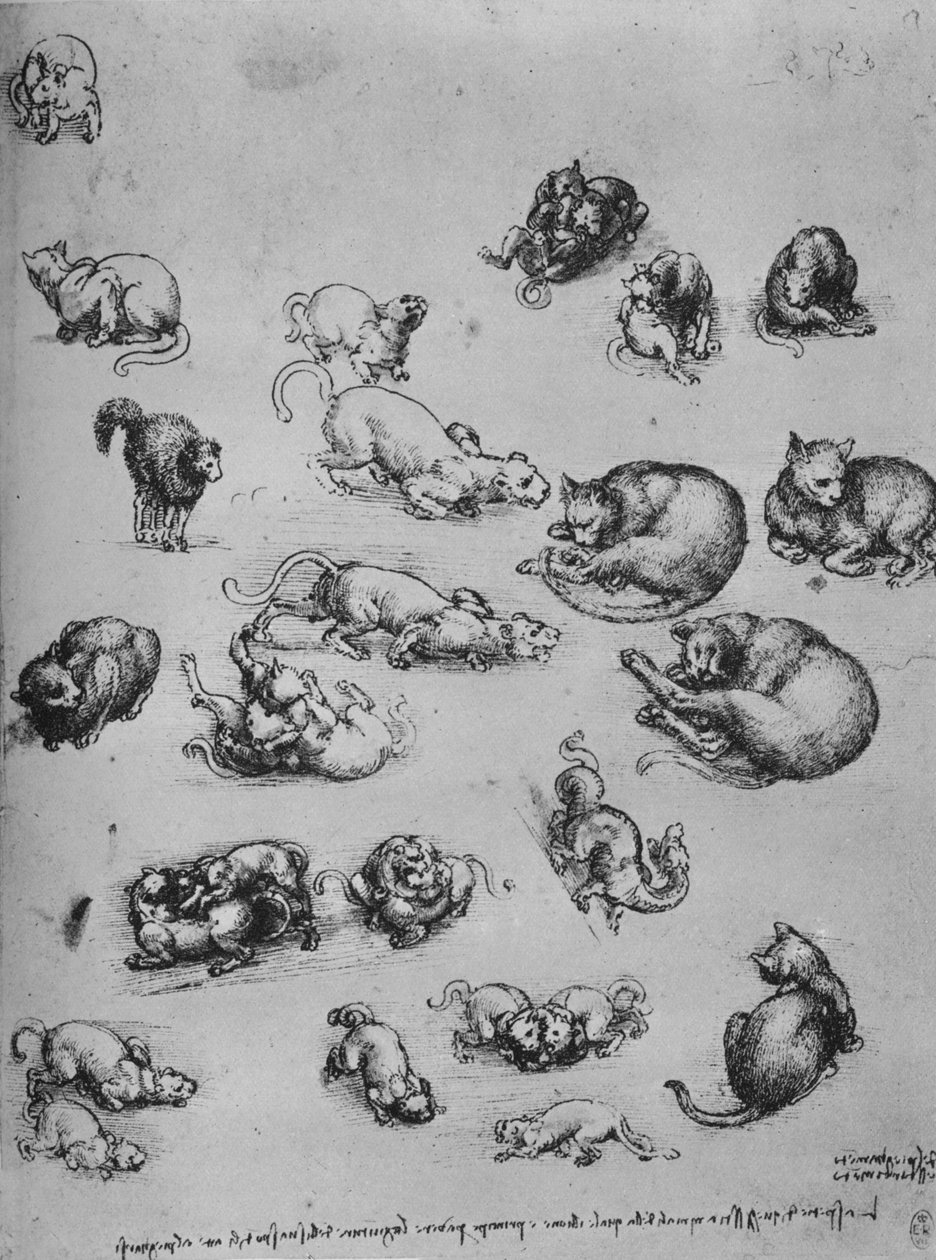 Kediler ve Ejderha Çalışmaları, c1480 1945 by Leonardo da Vinci