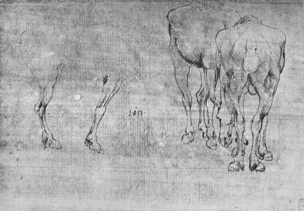 Otlayan At Çalışmaları, c1480 1945 by Leonardo da Vinci
