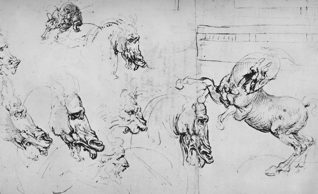At Kafaları ve Yetiştirme Atı Çalışmaları, c1480 1945 by Leonardo da Vinci