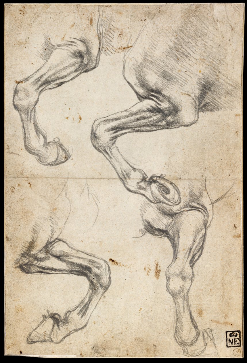 At Bacak Çalışmaları by Leonardo da Vinci