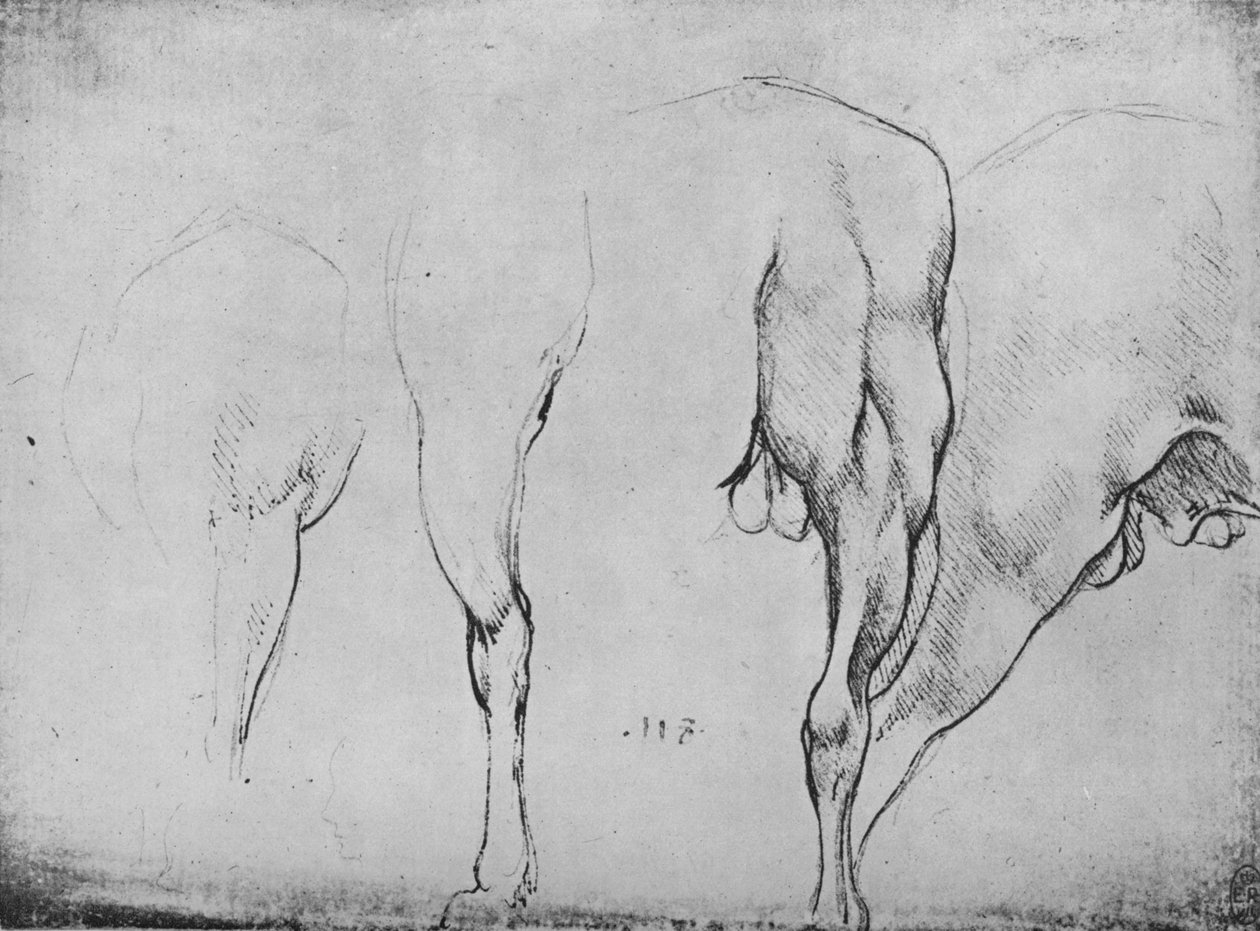 At Bacakları Çalışmaları, c1480 1945 by Leonardo da Vinci