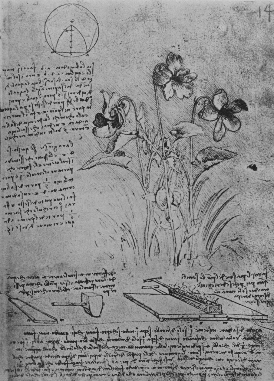 Viyola ve Kurşun Çatı Lehimleme Yöntemleri Çalışmaları, c1480 1945 by Leonardo da Vinci