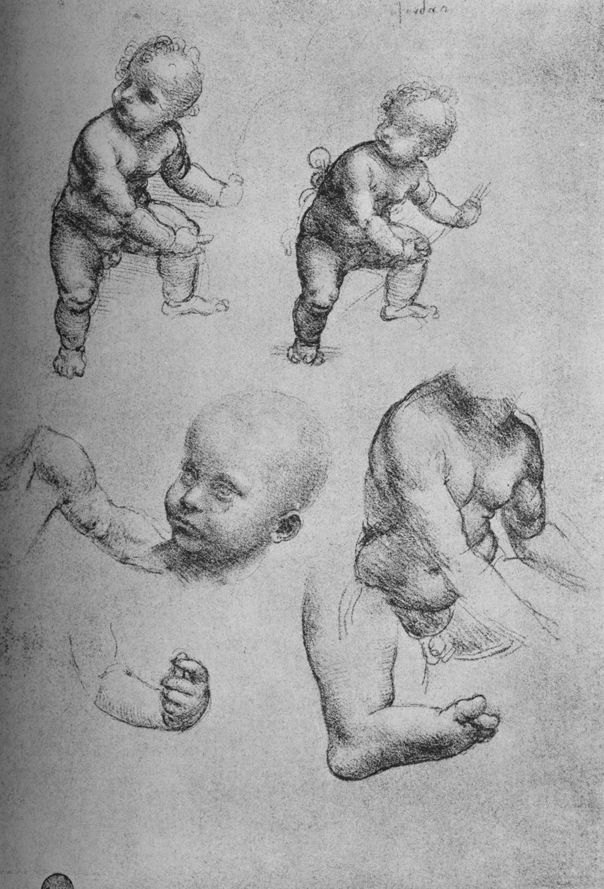 Bir Çocuğun Çalışmaları ve Bir Çocuğun Parçaları, c1480 1945 by Leonardo da Vinci