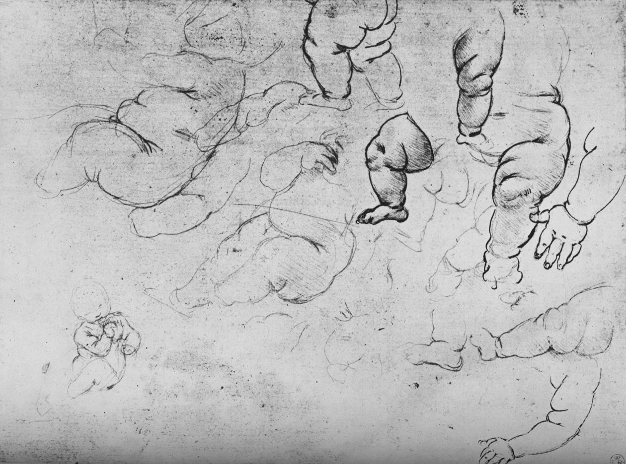 Bir Çocuğun Çalışmaları, c1490 1945 by Leonardo da Vinci