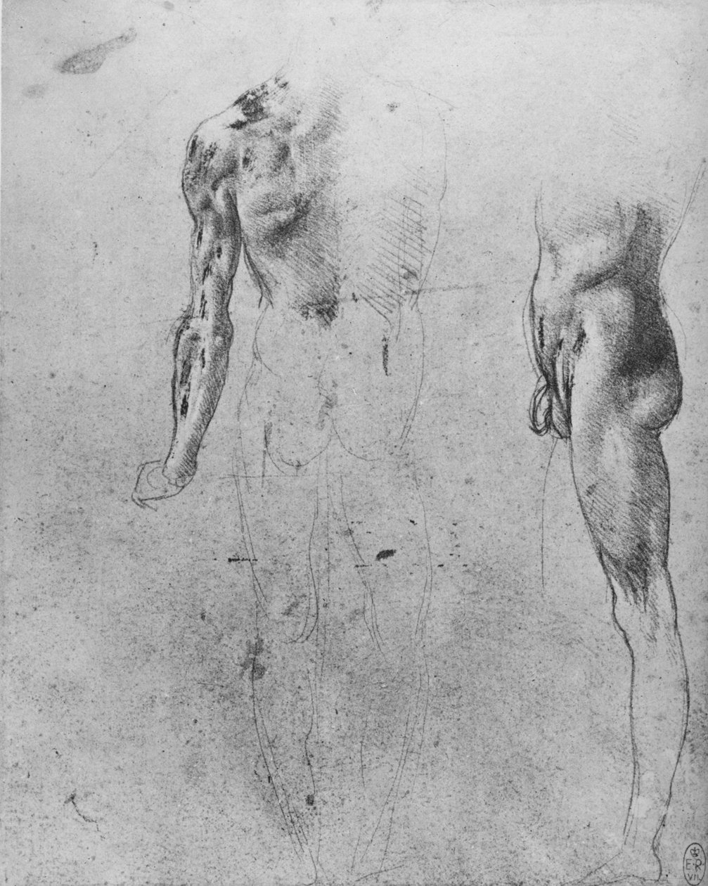 Arkadan ve Yandan Görülen Çıplak Bir Adamın Çalışmaları, c1480 1945 by Leonardo da Vinci