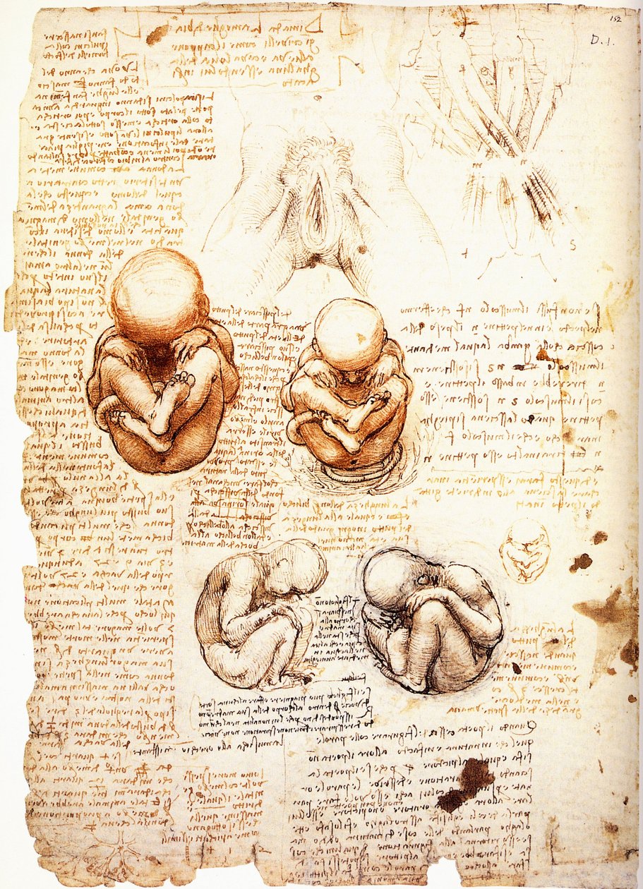  by Leonardo da Vinci