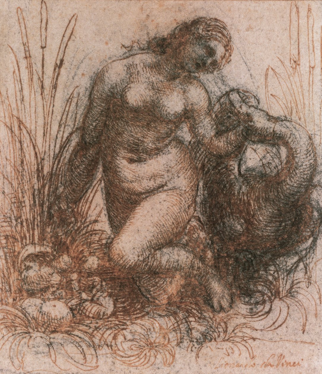 Leonardo da Vinci