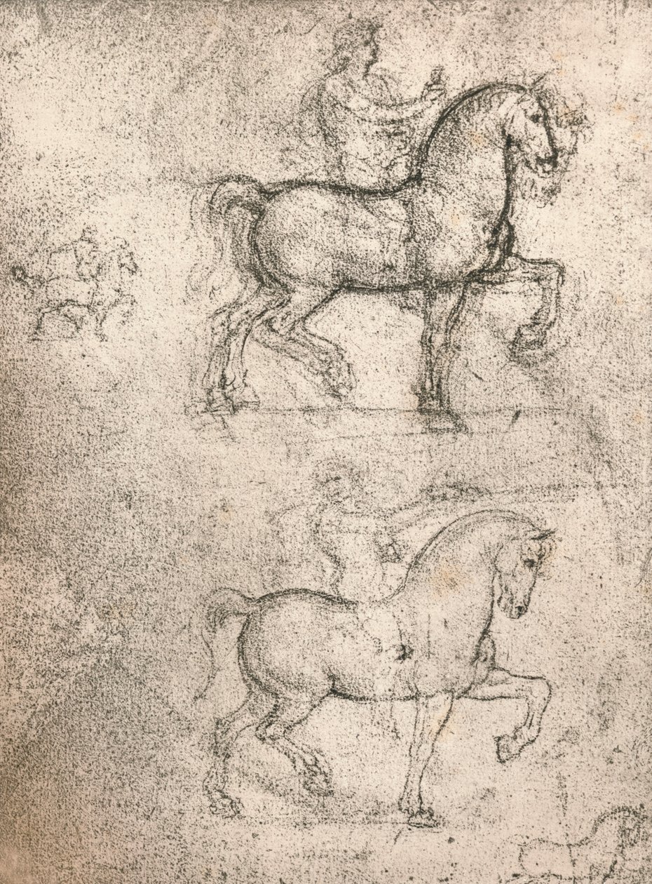 Sforza Anıtı için Çalışma, c1482-c1499 1883 by Leonardo da Vinci