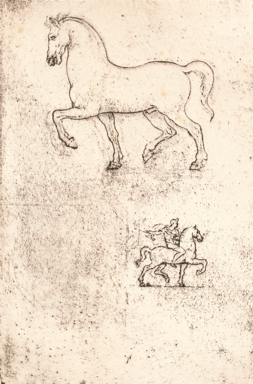 Sforza Anıtı için Çalışma, c1482-c1499 1883 by Leonardo da Vinci