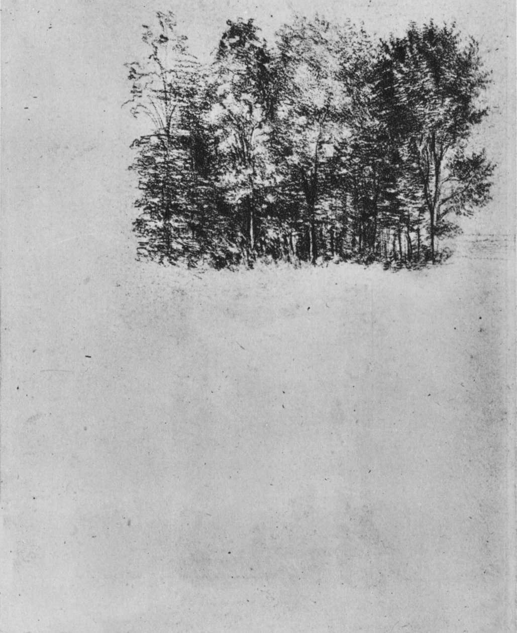 Bir Koru Çalışması, c1480 1945 by Leonardo da Vinci