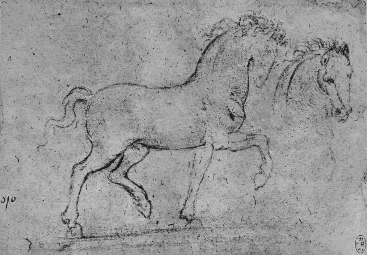 Bir Atın ve Bir At Kafasının Çalışması, c1480 1945 by Leonardo da Vinci