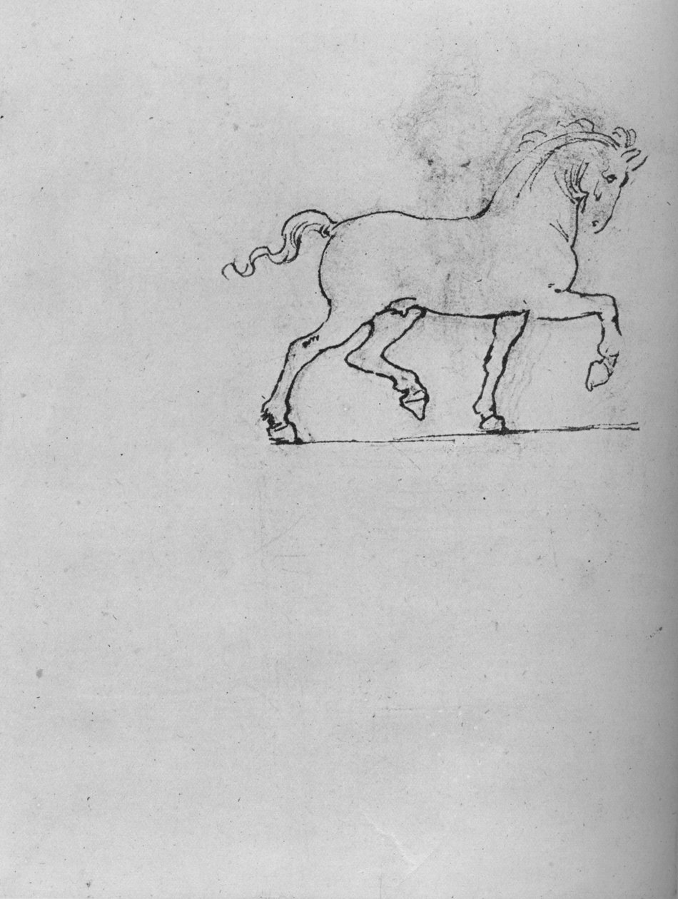 Bir At Çalışması, c1480 1945 by Leonardo da Vinci