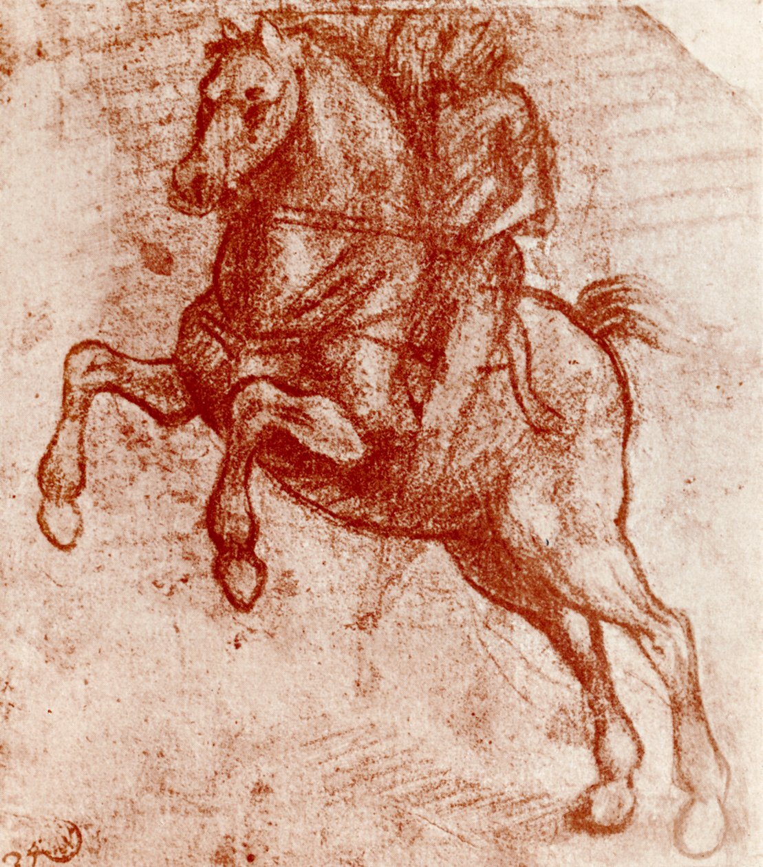 Bir Şövalyenin İncelenmesi, Leonardo Da Vinci, 1913 by Leonardo da Vinci