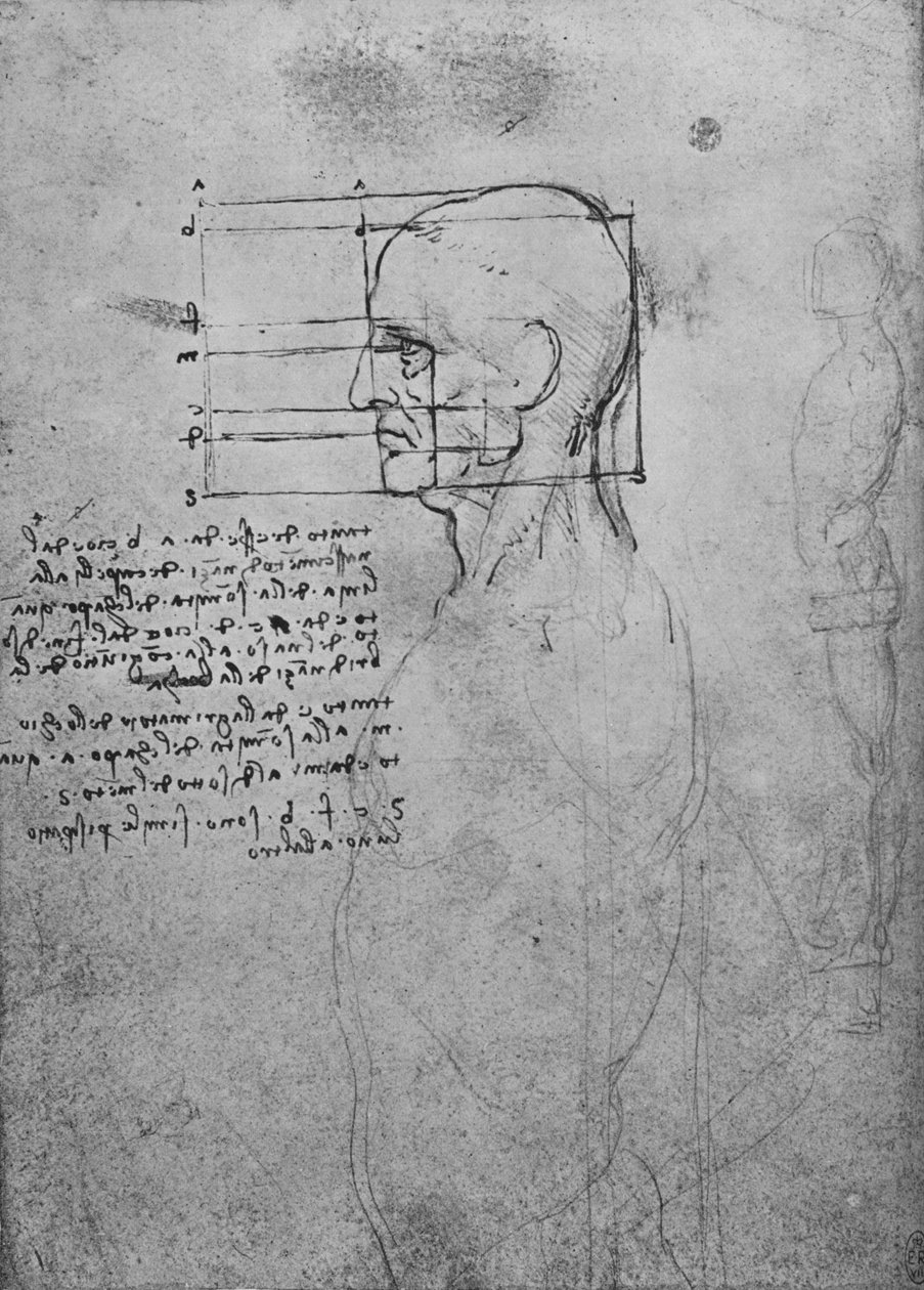 Bir Adamın Çıplak Gövdesinin Çalışması, Başın Karesi Orantı, c1480 1945 by Leonardo da Vinci