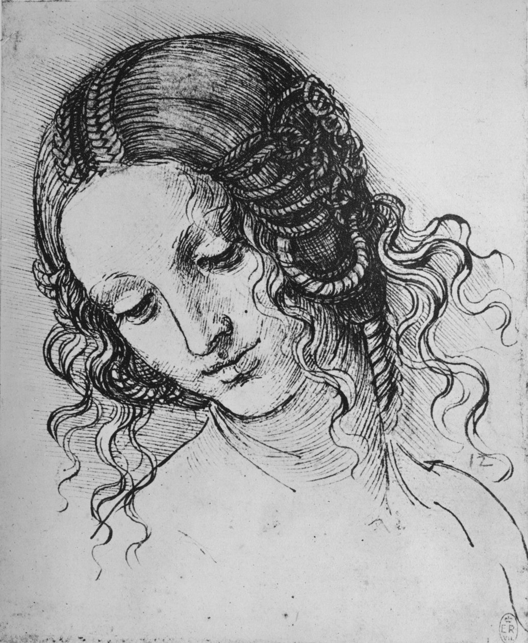 Bir Kadın Kafasının İncelenmesi, c1480 1945 by Leonardo da Vinci