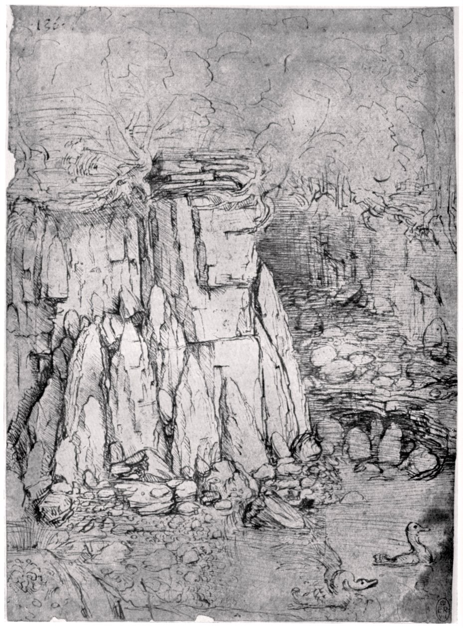 Ördekler ile kayalık bir mağaranın incelenmesi, 1482-1485 1954 by Leonardo da Vinci