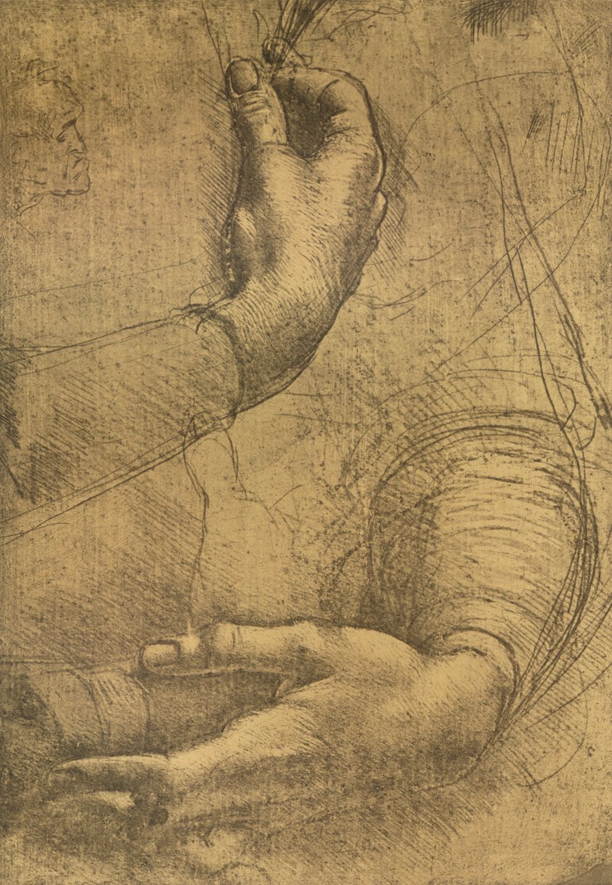 Kadın ellerinin incelenmesi, c1472-c1519 1883 by Leonardo da Vinci