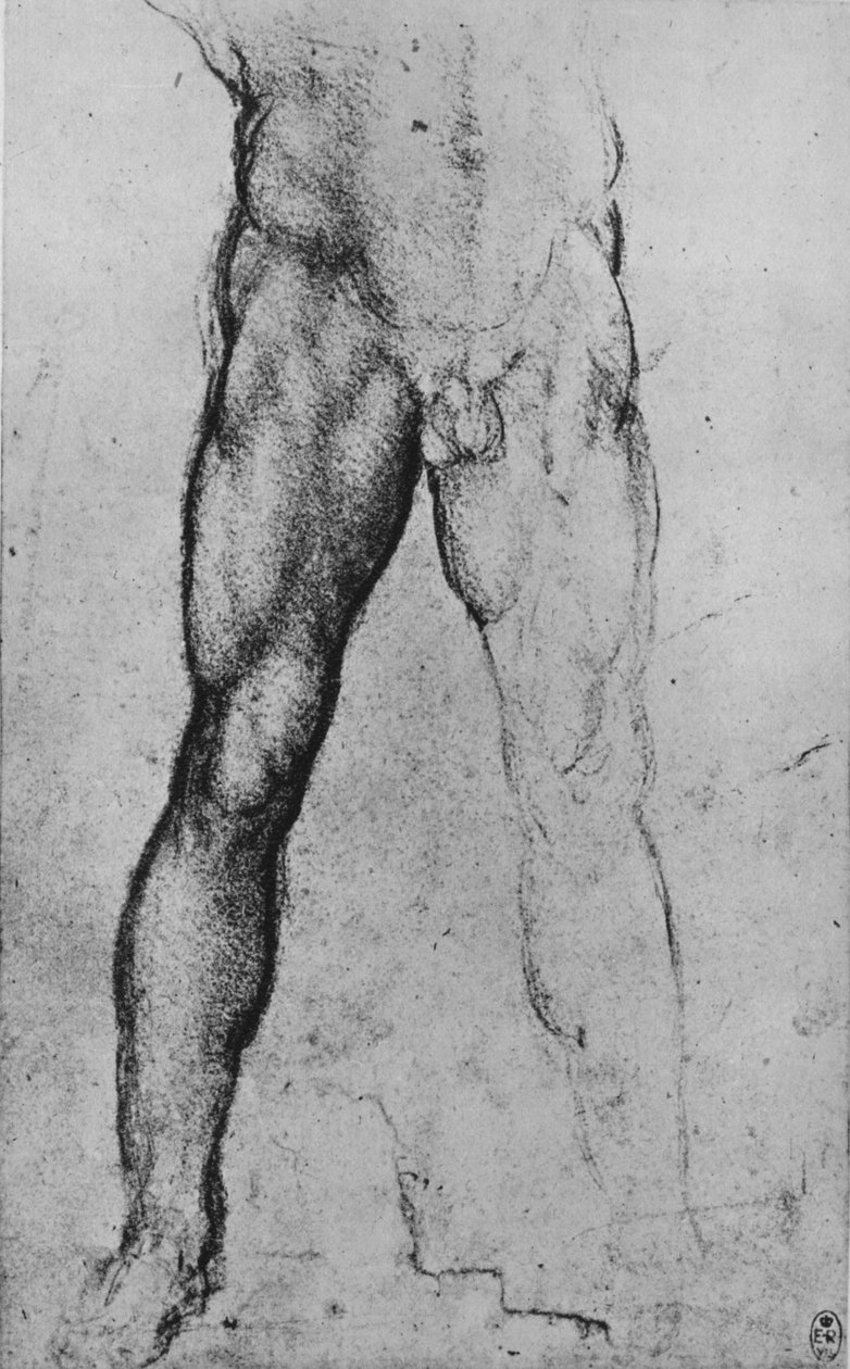 Yüzü Öne Dönen Çıplak Bir Adamın Alt Yarısının İncelenmesi, c1480 1945 by Leonardo da Vinci