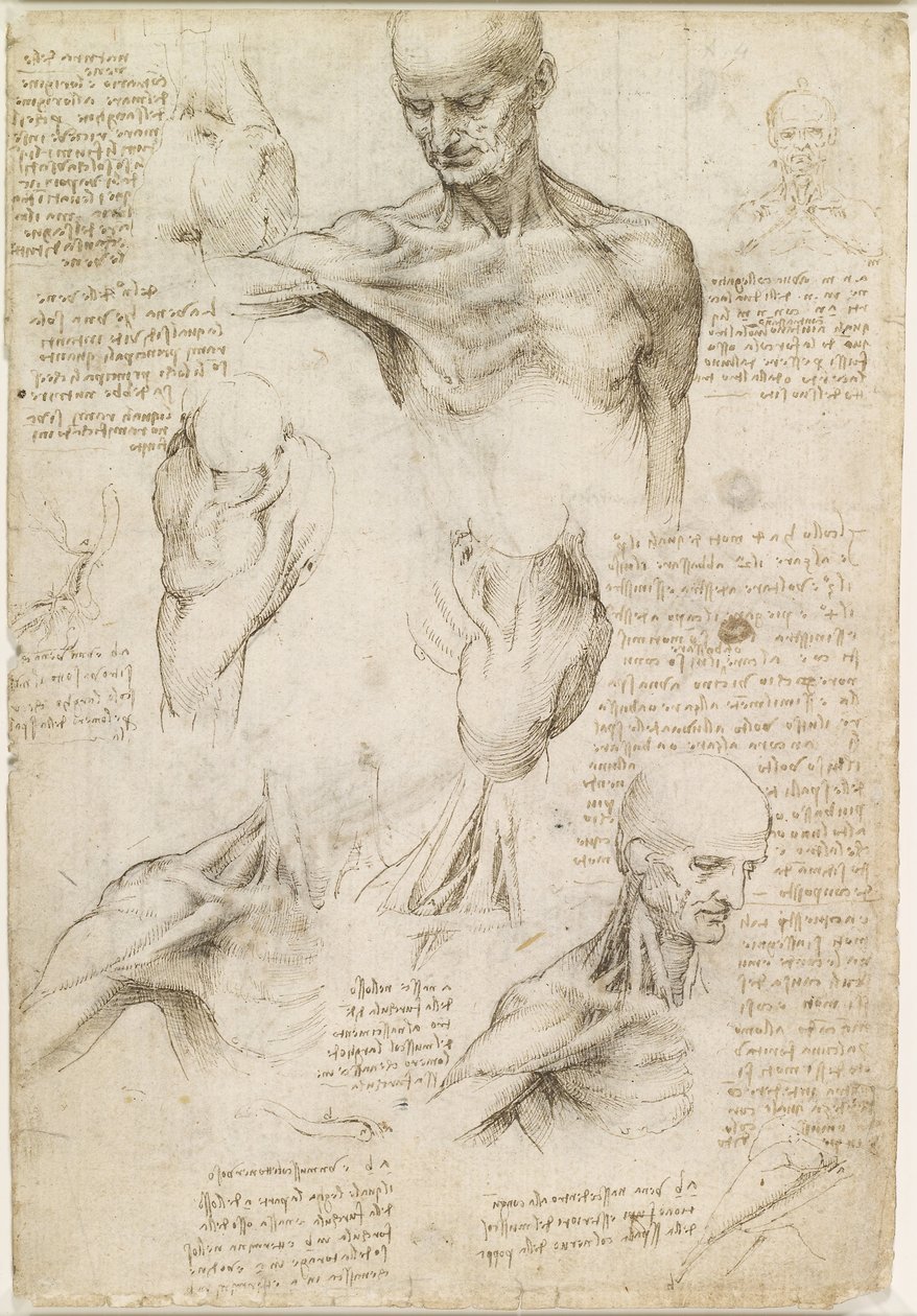  by Leonardo da Vinci