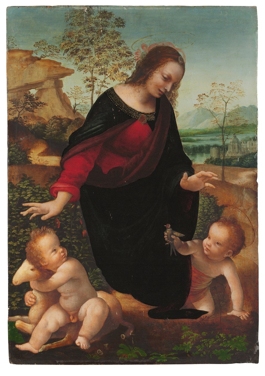 Bebek St John the Baptist ile Madonna ve Çocuk by Leonardo da Vinci