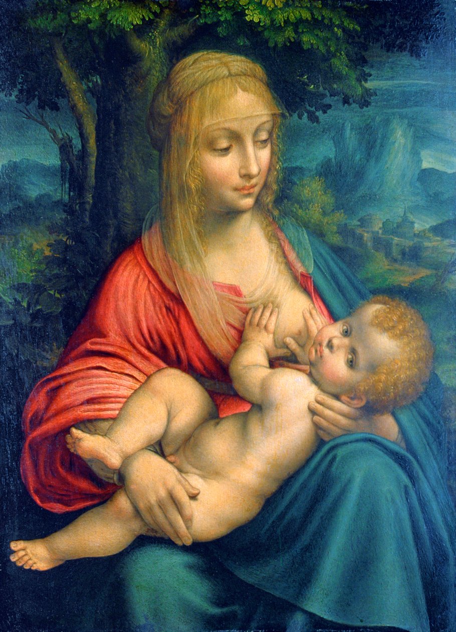 Bakire ve Çocuk, c1511 by Leonardo da Vinci