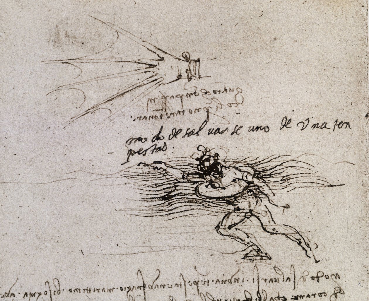 Avuç içi ve şamandıra, Codex Atlantic by Leonardo da Vinci