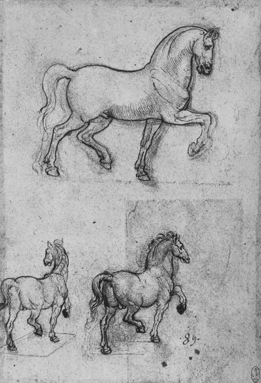 Atların Üç Çalışması, c1480 1945 by Leonardo da Vinci
