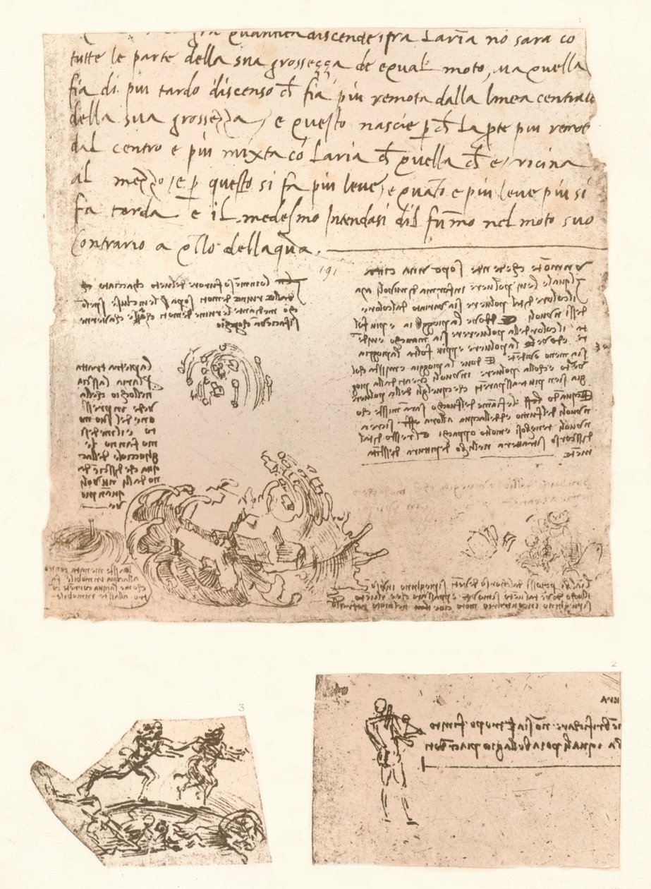 Üç çizim, c1472-c1519 1883 by Leonardo da Vinci