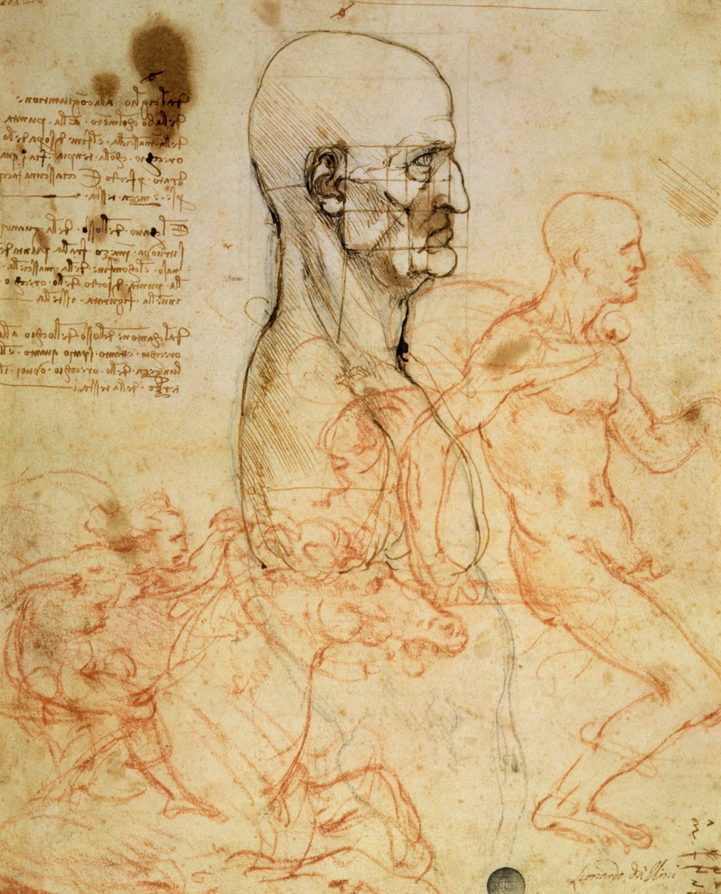 Profildeki Bir Adamın Gövdesi, Orantıya Göre Kare Baş ve İki Atlının Eskizleri, c.1490 ve c.1504 (kağıt üzerinde metal nokta üzerine kalem ve mürekkep ve kırmızı tebeşir by Leonardo da Vinci