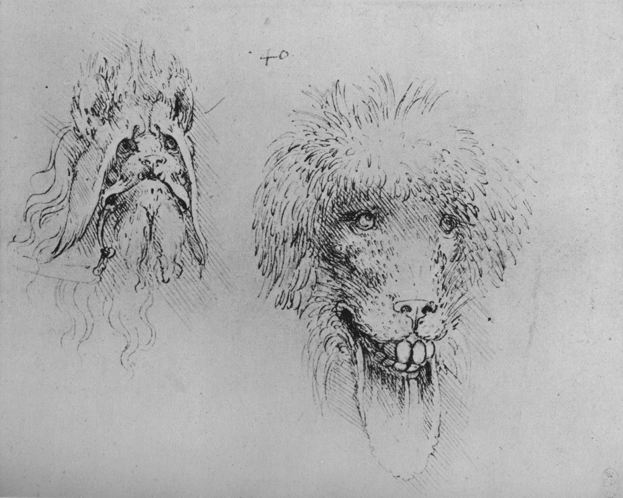 Canavarların İki Başı, c1480 1945 by Leonardo da Vinci
