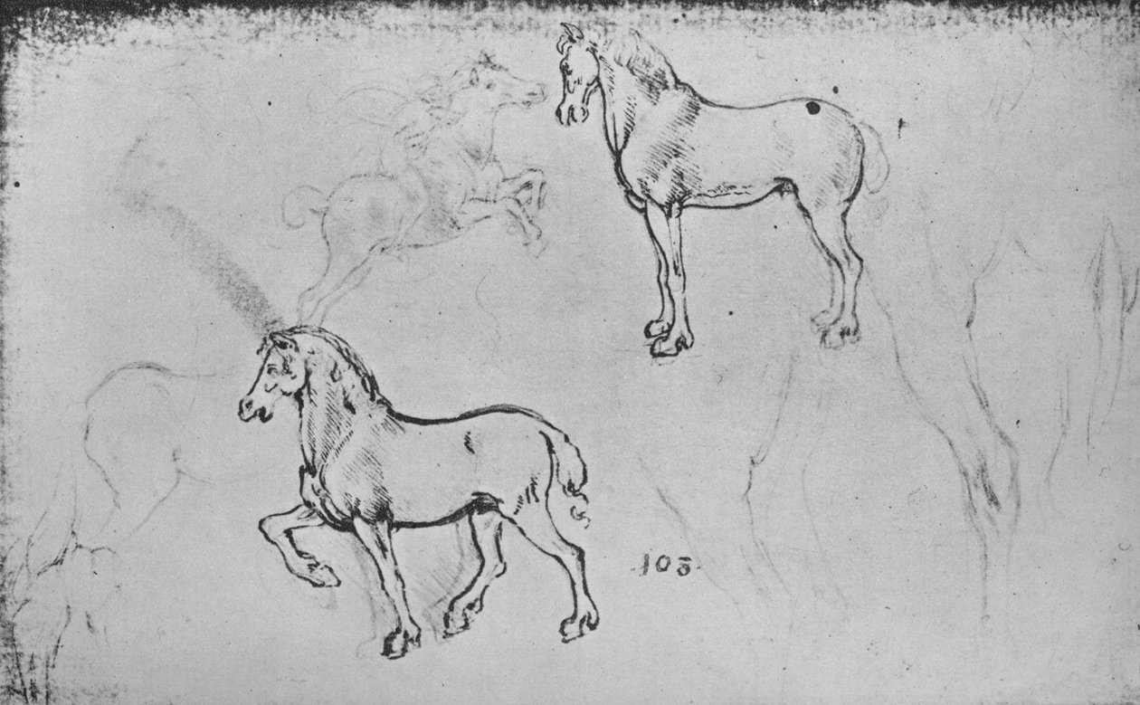 İki At Çalışması, Biri Dörtnala Atlı Süvari ve Diğerleri At Bacakları, c1480 1945 by Leonardo da Vinci