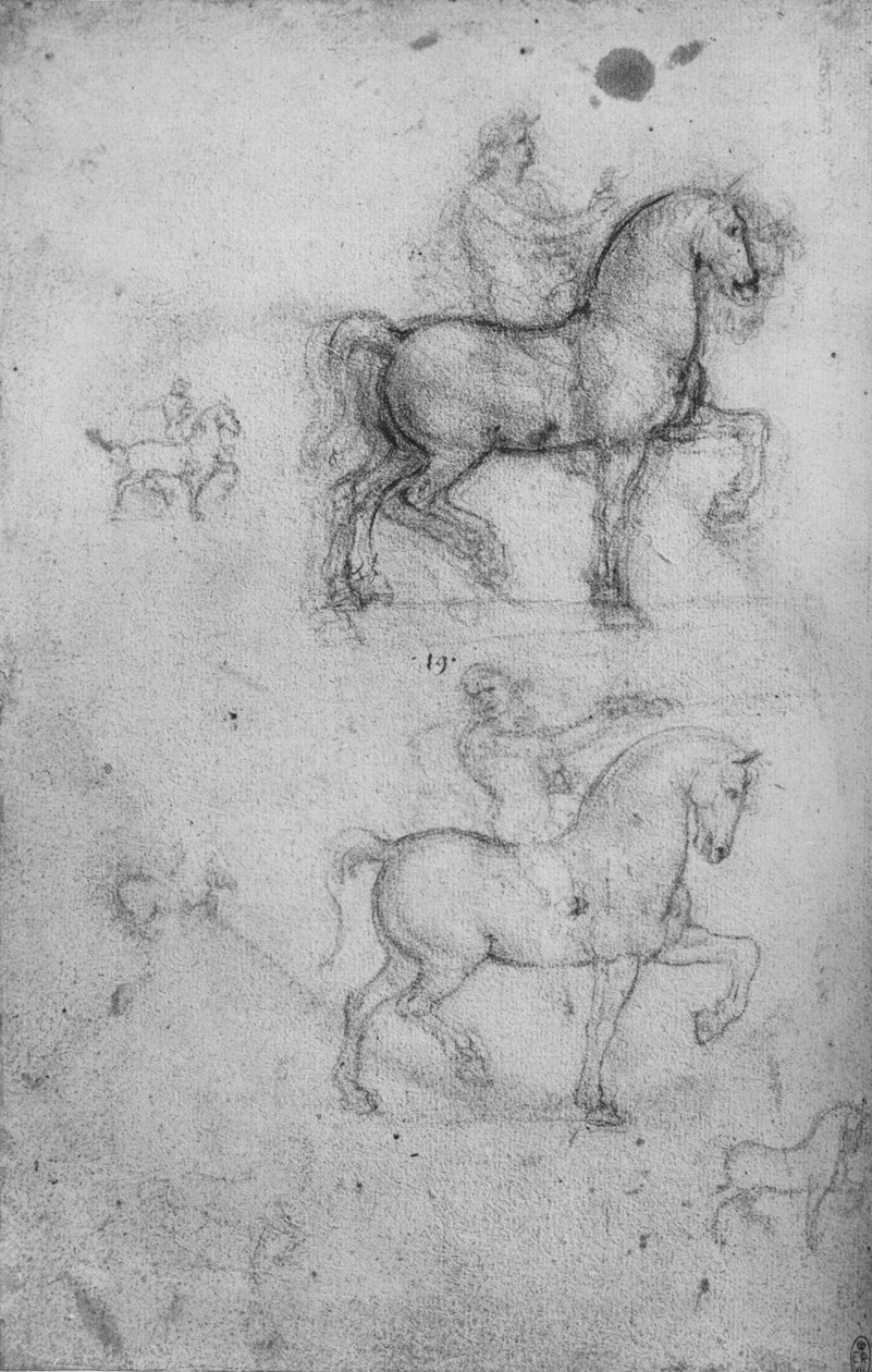 Atlar ve Biniciler Üzerine İki Çalışma ve Atlar Üzerine Daha Küçük Çalışmalar, c1480 1945 by Leonardo da Vinci