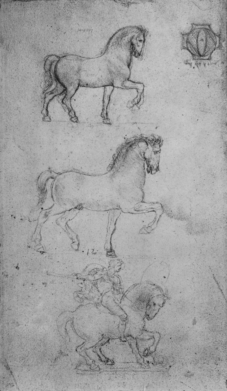 Bir Atın İki Çalışması ve bir At ve Binicinin Biri, c1480 1945 by Leonardo da Vinci