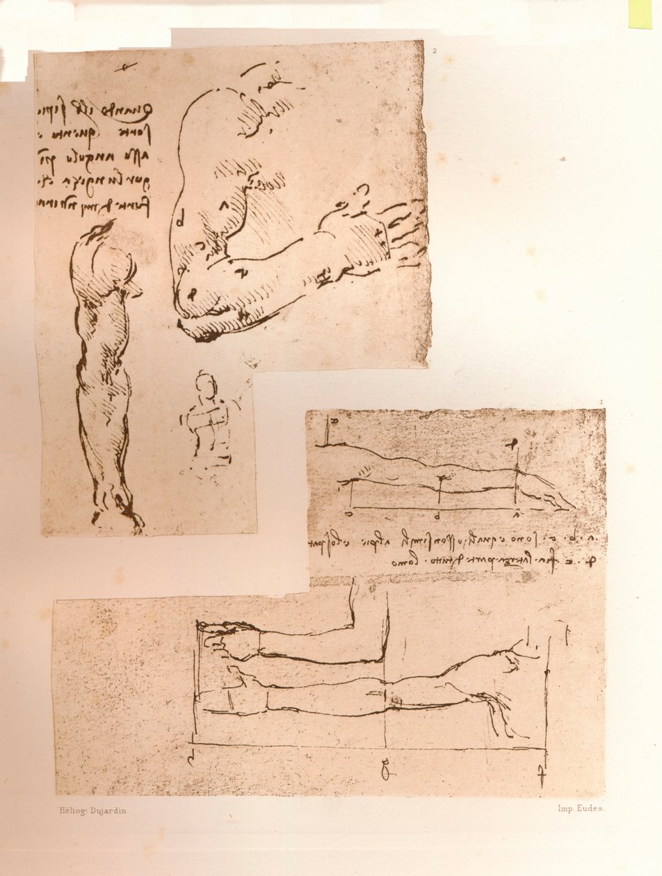 İnsan figürünün oranları teorisini gösteren iki çizim, c1472-c1519 1883 by Leonardo da Vinci