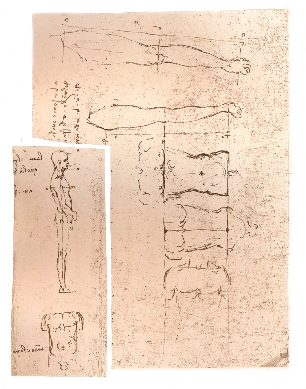İnsan figürünün oranları teorisini gösteren iki çizim, c1472-c1519 1883 by Leonardo da Vinci