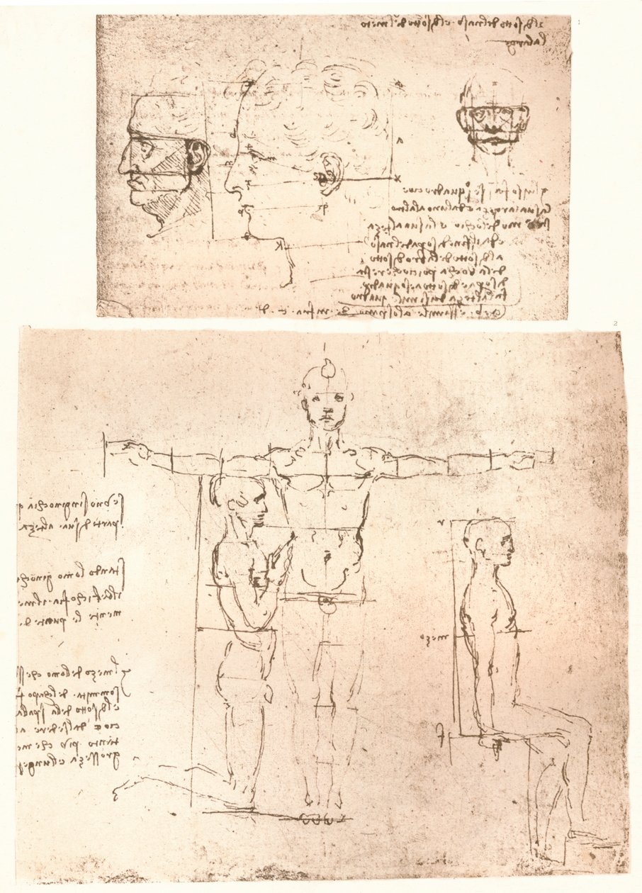 İnsan figürünün oranları teorisini gösteren iki çizim, c1472-c1519 1883. by Leonardo da Vinci