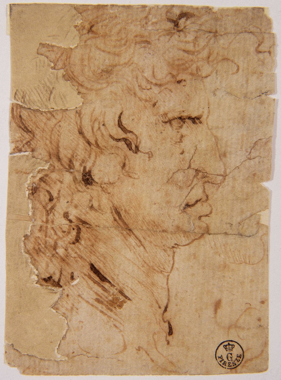 Bilinmeyen resim by Leonardo da Vinci