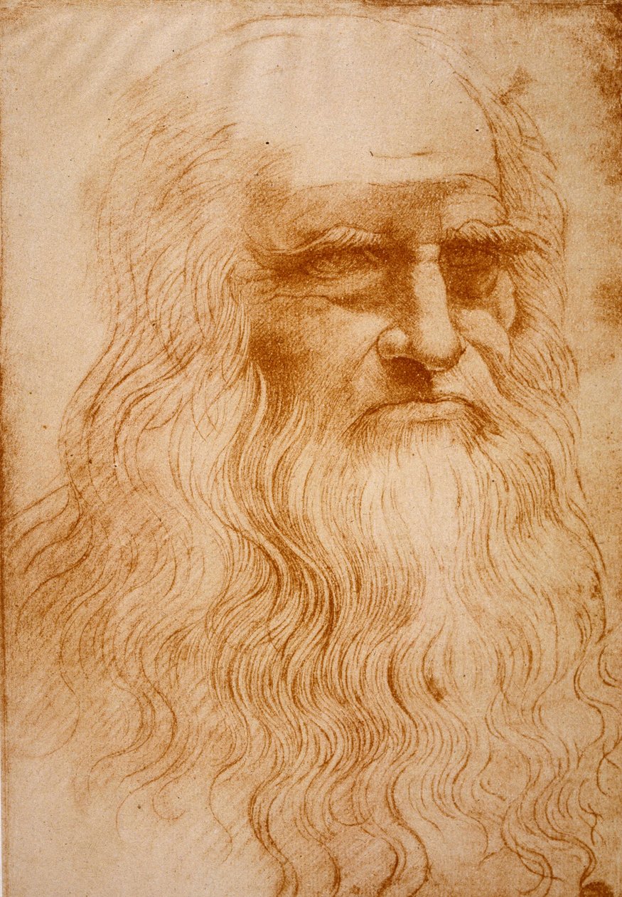 Bilinmeyen resim by Leonardo da Vinci