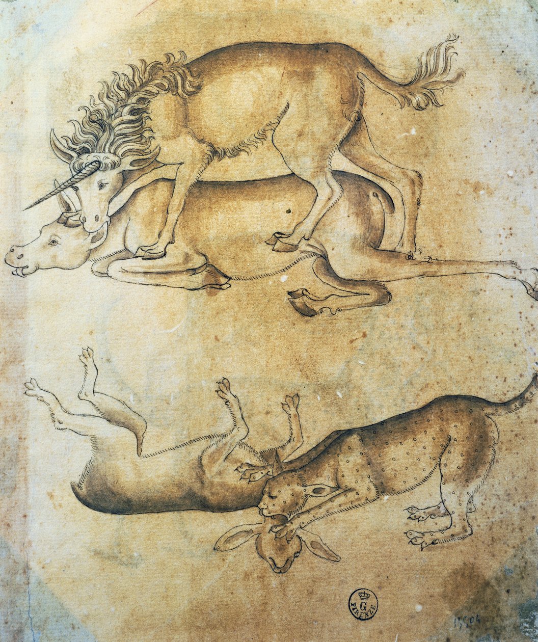 Bir ineğe saldıran tek boynuzlu at ve bir koyuna saldıran leopar, hayvanlar üzerine çalışma, Leonardo da Vinci (1452-1519), çizim by Leonardo da Vinci